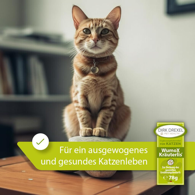 Dirk Drexel WumoX Kräuterlis for cats | Treats with herbal extracts | natural nutrition to strengthen the intestinal environment | with real wormwood | natural alternative 3 month treatment - BeesActive Australia