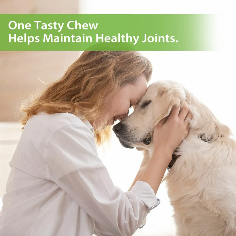 Green Lipped Mussel for dogs ALL in ONE Joint Care Supplements Hip & Joint aid 100 Tasty DAILY Chews Glucosmine Chondoitin MSM Curcumin PUPPY- ADULT-SENIOR - Chicken Flavor joint supplements for dogs