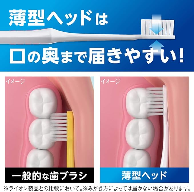 Sistema Brush Regular 4 Row Regular Set of 6 + ex Toothpaste - BeesActive Australia