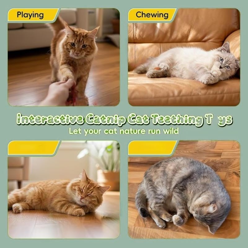 3PCS Natu/ral Catnip Chew Rope for Cats,Catnip T/oys for Cats,Interactive Cat To/ys for Indoor Cats Adult,Kitten Teething T/oys for Dental Care,Cat Dental Sticks & Chew Sticks,Cat Dental Chew Sticks