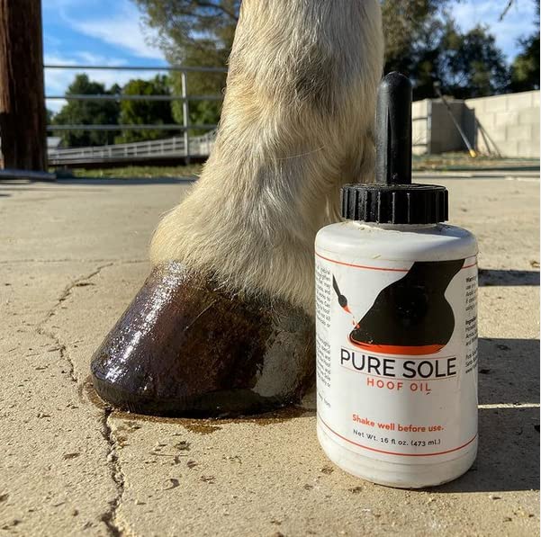 Hoof Oil - All Natural Hoof Conditioner for Horses with Hoof Oil Brush Applicator - Strengthens, Moisturizes and Treats Hoof Problems - 16 fl oz. - BeesActive Australia