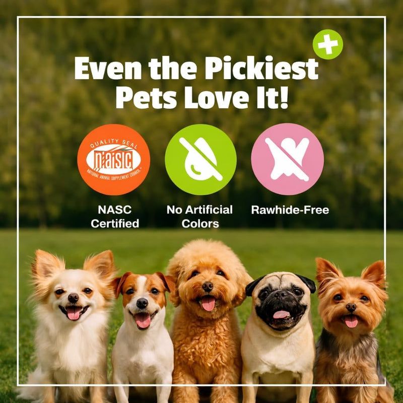 Pet Naturals Probiotics for Dogs – 320 Soft Chews, Digestive & Gut Health Dog Support with 120M CFUs + Prebiotics, Immune Support for Occasional Upset Dog Stomach, Duck Flavor, All Breeds