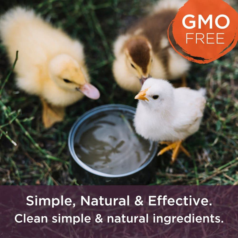Dr. Connie's Probiotic + Electrolyte for Farm Animals | Supplement to Support A Healthy Gut | Veterinarian Formulated - BeesActive Australia