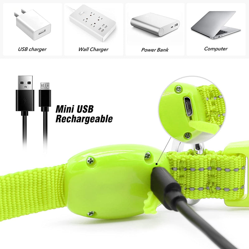 Visinite Luminous Dog Collar, Waterproof, Adjustable, USB Rechargeable LED Dog Collars, Glows in the Dark, Luminous Dog Collar Keeps Your Small Dog Visible and Safe, Green, S Green S - BeesActive Australia