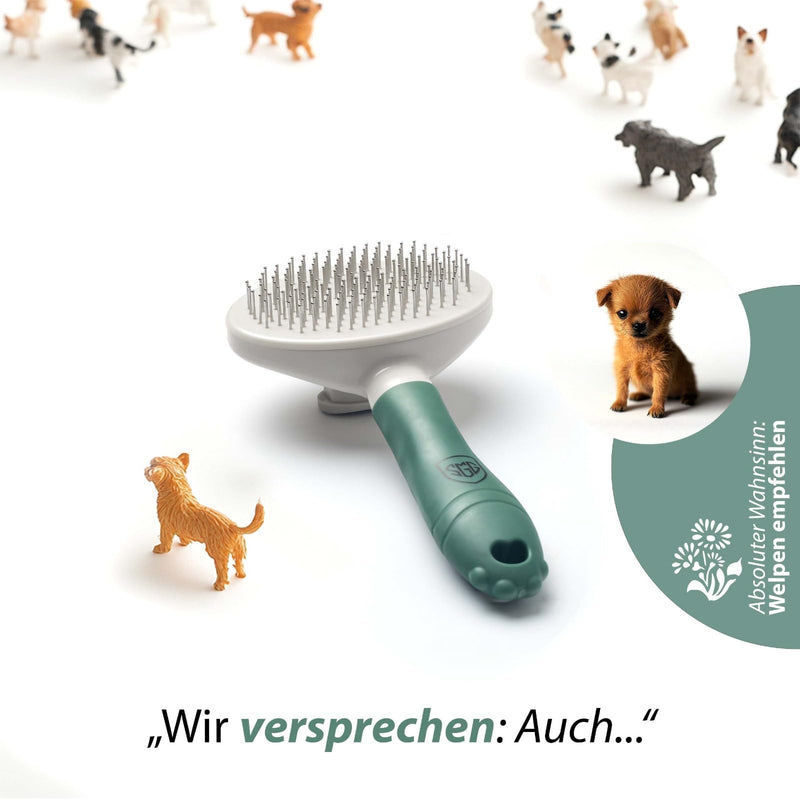 SGG dog brush cat brush - care for short and long hair - cleaning at the touch of a button - grooming accessories for dogs and cats - self-cleaning slicker brush - massage brush - BeesActive Australia