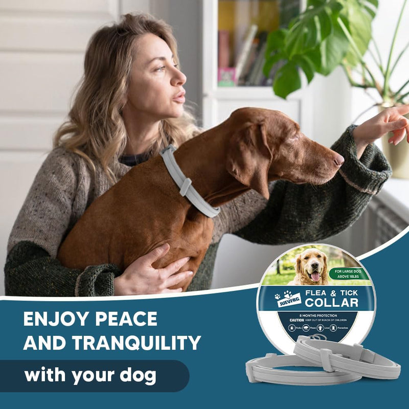 Flea & Tick Collar for Dogs, Flea Collar for Dog, Dog Collar for Large Dogs, Adjustable Dog Ticks Fleas Collars, 8 Months Prevention, Waterproof, Adjustable, 2-Pack - BeesActive Australia