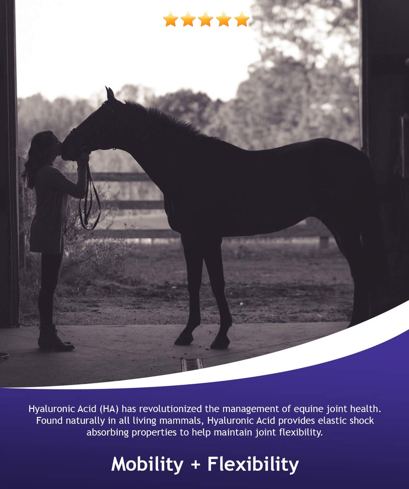 Hyalogic Hyaluronic Acid Gel for Horses Orally Administered with Syringe for Equine Joint & Cartilage Support - Hyalun Pro Gel - 1 oz / 30 ml (3 full doses) - Pre- and Post-Event Booster