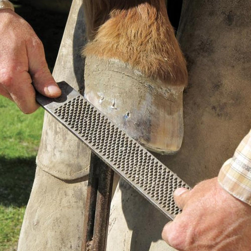 Hoof Rasp 14 inch, Carbon Steel Farrier File Tool for Easy Cleaning, Horseshoe File with Easy Grip for Cow, Horse, Goat and Pig - BeesActive Australia