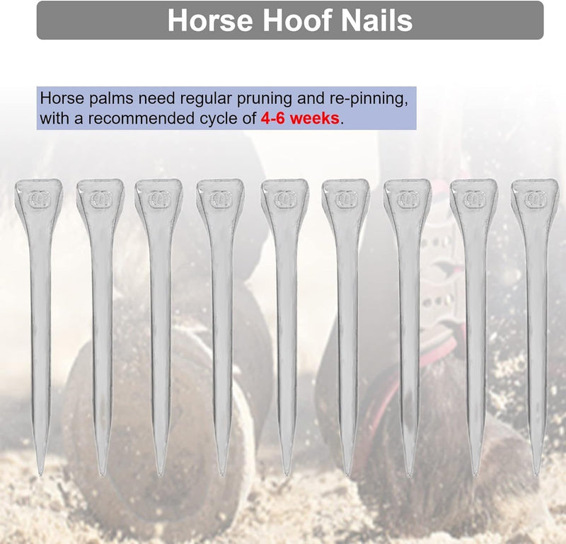 250PCS Horseshoe Nails, Horseshoes Equipment Equestrian Sport Equipment Horse Training Supplies Tool 2.1 Inch E6 Hoof Nails for Horse Race - BeesActive Australia