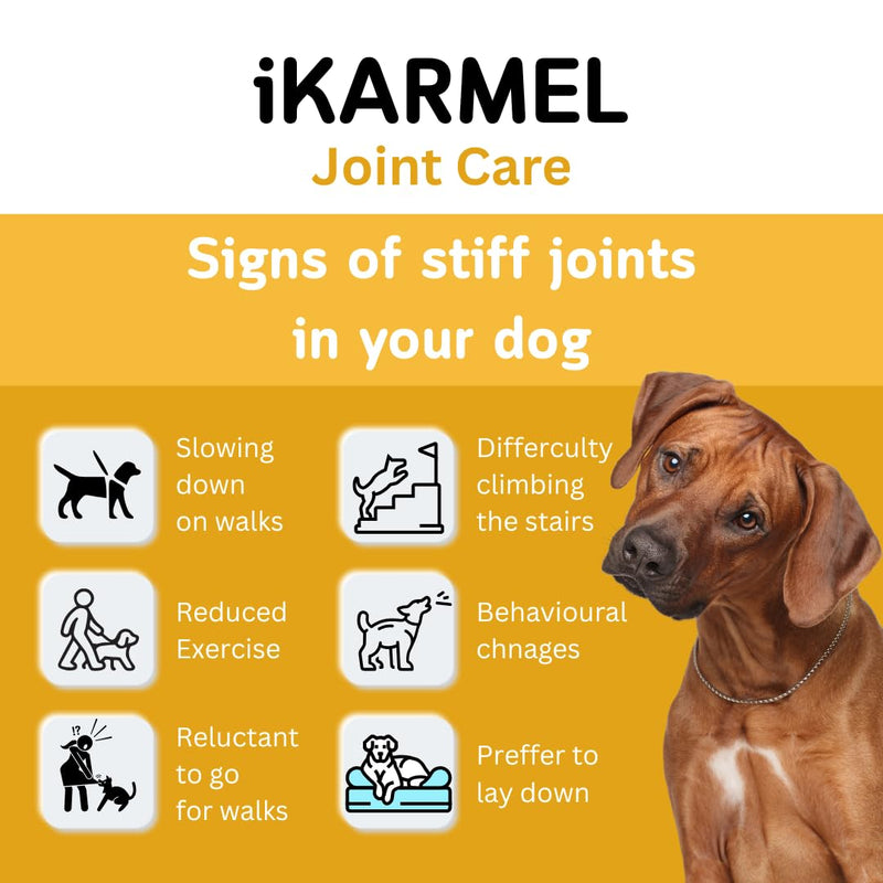 Joint Supplements for Dogs | Hip and Joint Care | with Glucosamine, Chondroitin, and Green-Lipped Mussels | Puppy to Senior Dog Treats for Stiff Joints 320