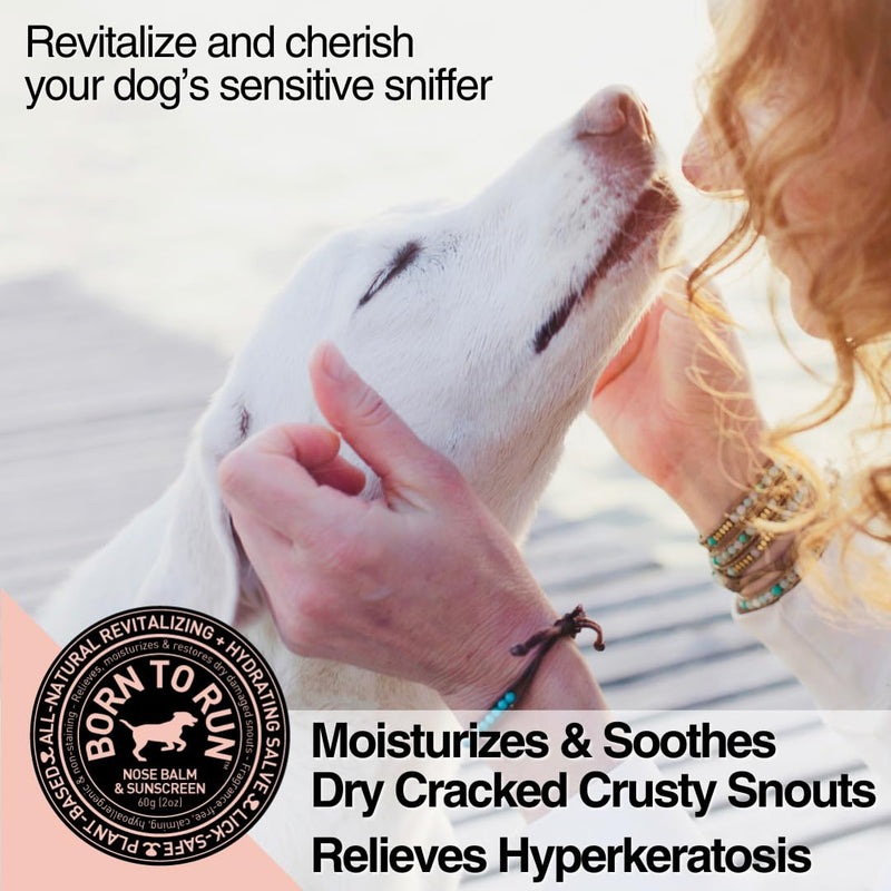 Born To Run Dog Nose Balm | Dry Cracked Chapped Snout Soother | Moisturizes Heals Natural Sunscreen & Cold Winter Protection | Hyperkeratosis Relief Plant-Based Fragrance-Free Lick Safe Nose Cream 2oz - PawsPlanet Australia