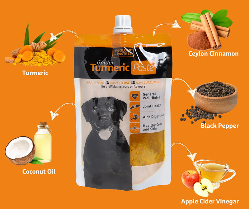The Golden Paste Company for Dogs Anti Inflammatory Cycles - 200g - Turmeric Joint Health Supplement with Ceylon Cinnamon, Apple Cider Vinegar & Coconut Oil for Dogs 200 g (Pack of 1)
