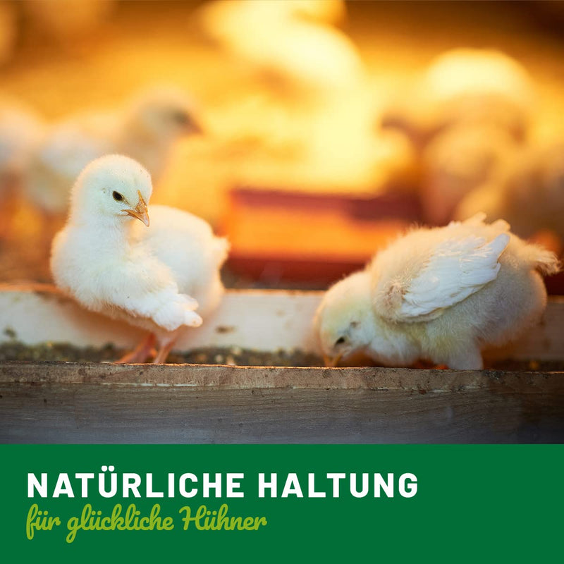 CHICKENS Land Calm Liquid - anti-stress drops for chickens, quails & poultry, sedative against stress and anxiety | natural relaxation for chickens with high acceptance, 110ml - BeesActive Australia