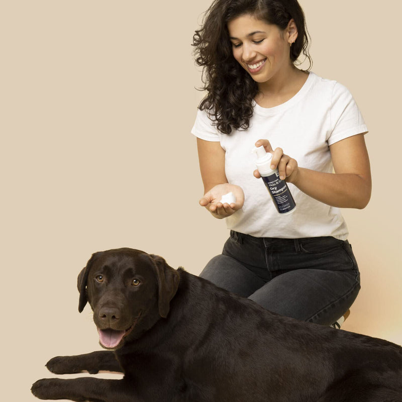 Honest Paws Dog Dry Shampoo - Waterless No Rinse Foaming Formula Reducing Itch Cleanse Hydrate Nourish Dry Skin and Smelly Coat Help Decrease Odor Shedding and Allergies - Oatmeal & Lavender - 6.3 oz Foaming - Oatmeal & Lavender - 6.3oz - BeesActive Australia