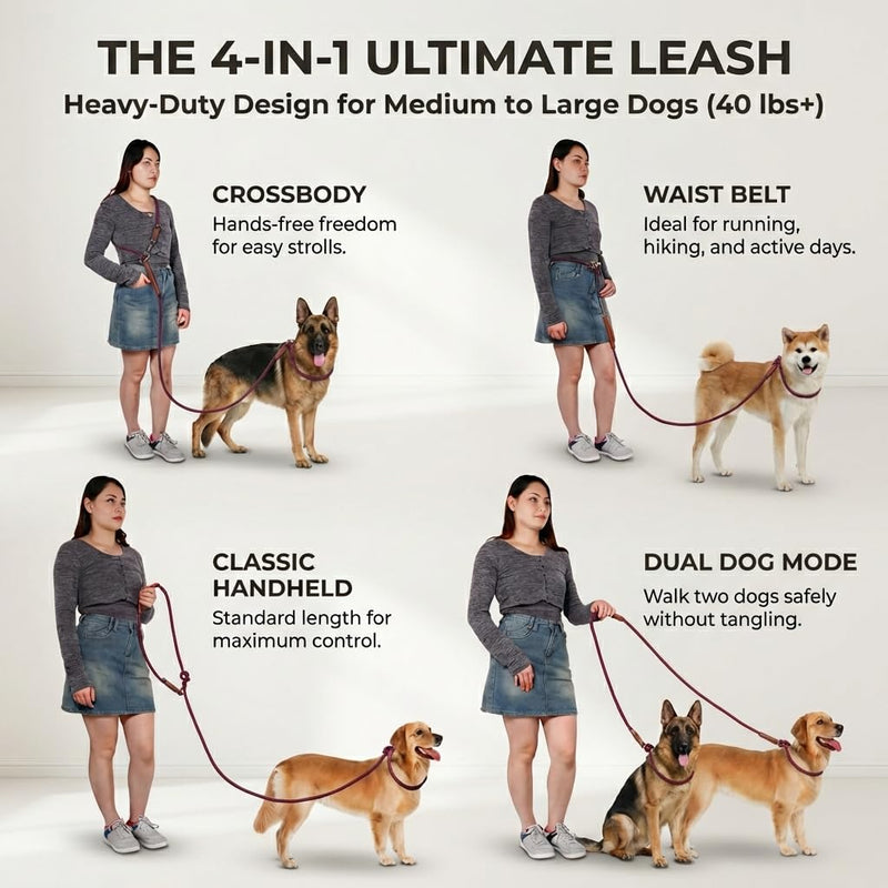 Tails & Tales Hands Free Dog Leash for Walking Running Training, Adjustable Lead Up to 9.8ft, Dogs Up to 125lbs, Crossbody, Dual Handle, Multifunctional, Double Attachment for 2 Dogs (Winery Red) Winery Red - BeesActive Australia