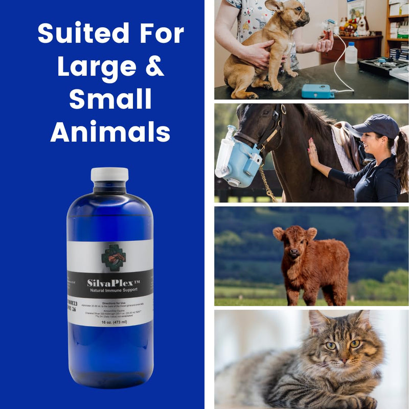 Natural Immune Support Solution for Dogs, Cats, Horses, Small Animals, 100 PPM Chelated Silver 16 oz - PawsPlanet Australia