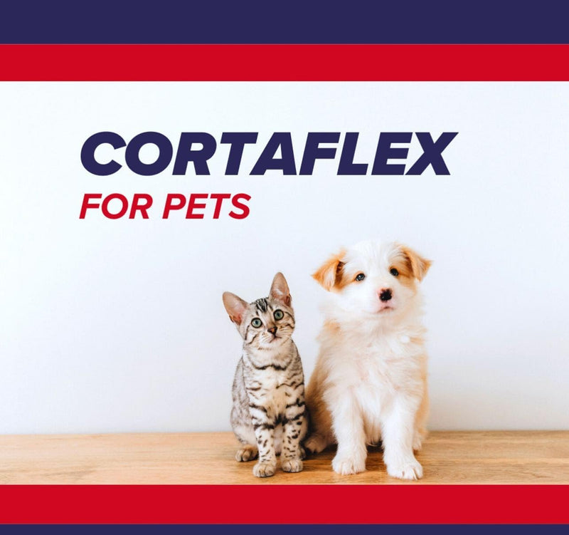 Cortaflex Working Dog Supplement Powder (90g). Joint Supplement for Working Dogs. Suitable for All Ages & Breeds. Contains Glucosamine, Chondroitin & Hyaluronic Acid For Joint Structure & Lubrication