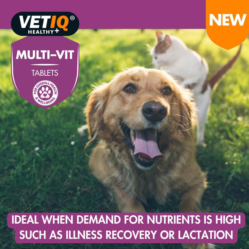 VETIQ Multi-Vit Tablets support gut, skin, and immune health with 8 vitamins, 4 minerals, and prebiotics—perfect for physical performance, stress, recovery, and lactation. 45 Tablets