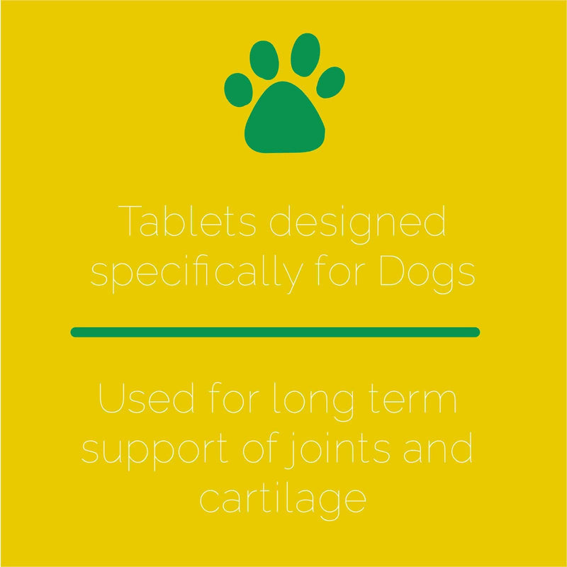 Artri-tabs Complex Dietary Supplement by Interfarma Corp | Cartilage Protection, Reduce Inflammation, & Joint Support for Dogs | with Glucosamine, Collagen, & MSM | Beacon Flavor | 60 Tablets. (2) 2