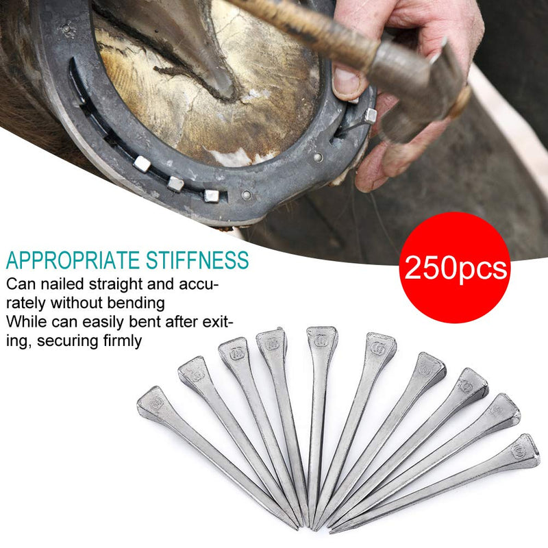 Horseshoe Nails, E6 250PCS Firmly Horse Tool Horse Hoof Nail with Good Elasticity Steel Hoof Peg Securing Accessory for Horse Training Equestrian Sports - BeesActive Australia