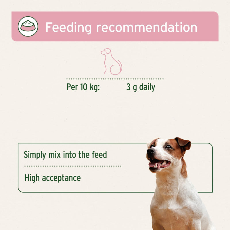 AniForte 4in1 Complete for Dogs 250g - Natural Health Supplement, Supports Joint Care, Digestion, Coat & Skin, With Green-Lipped Mussel & Rosehip, Rich in Vitamins & Minerals