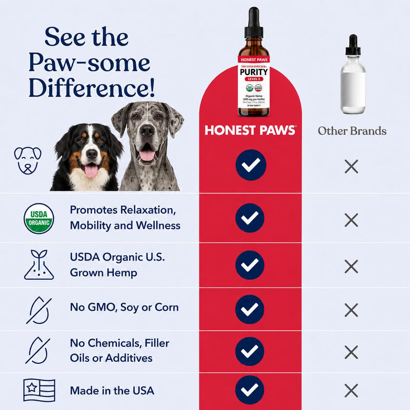 Honest Paws Hemp Oil for Dogs - Natural Hemp Seed Oil Drops Rich in Omega 3 6 9 - May Help Support Calm Behavior, Physical Comfort & Overall Wellness - Made in USA Level 3