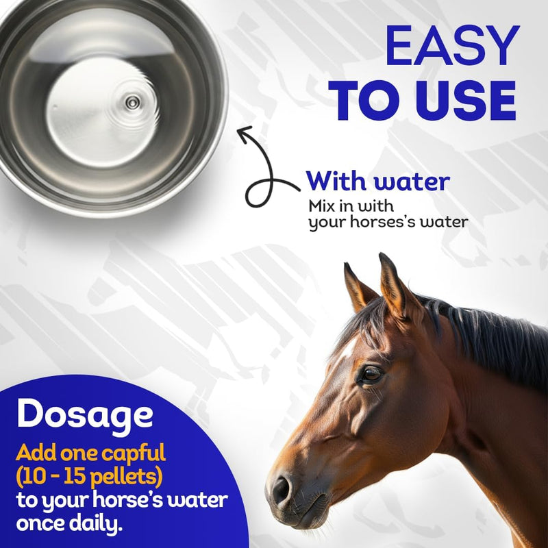 All-Natural Horse Arthritis Support - Helps Prevent Stiffness, Joint Pain & Lameness - Joint Supplements for Horses - Homeopathic & Highly Effective - 300 Tablets - BeesActive Australia