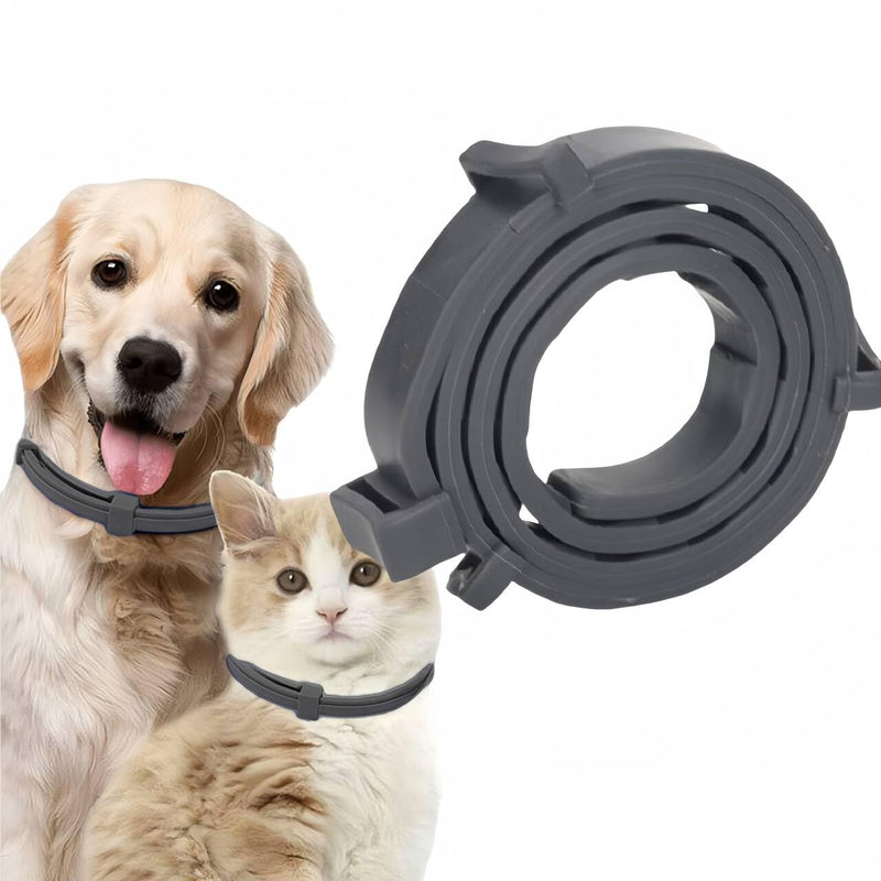 Flea collar for cats, flea collar for dogs, small, tick flea protection collar, flea tick collar for dogs and cats, waterproof and adjustable Nero L