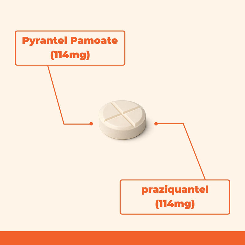 Trio Dewormer for Dogs, Tablets for Tapeworms, Roundworms & Hookworms, Pyrantel Pamoate/Praziquantel, for Medium and Large Dogs Over 25 lbs, 50 Tablets