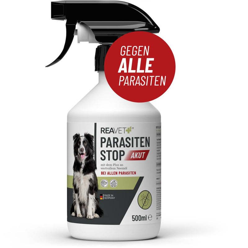 ReaVET parasite spray insect spray XL AKUT - against ALL parasites for dogs and animal environments 500ml I defense against ticks, fleas, mites I vermin spray, tick spray, flea spray, mite spray