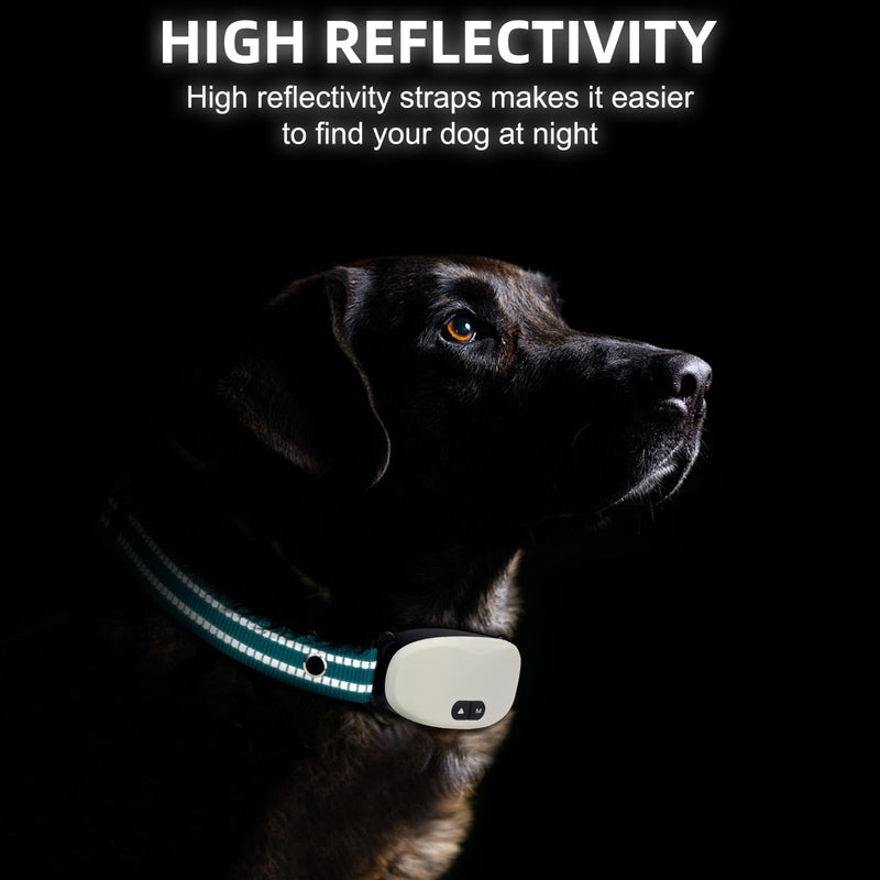 Collar Replacement Strap, Reflective Replacement Nylon Collar Strap Dog GPS Training Bark Receiver Collars, Durable Adjustable E Collar Straps for Small Medium Large Dogs, Green - BeesActive Australia