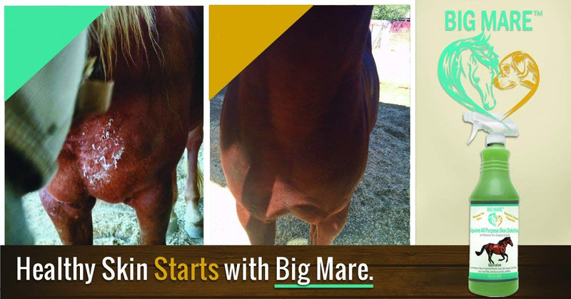All Purpose Horse Skin & Wound Care | 32oz Bottle | First Aid: for Girth Itch, Insect & Fly Bites, Crud, Itchy Manes & Tails & Hair Loss | Veterinarian Approved & Recommended - BeesActive Australia