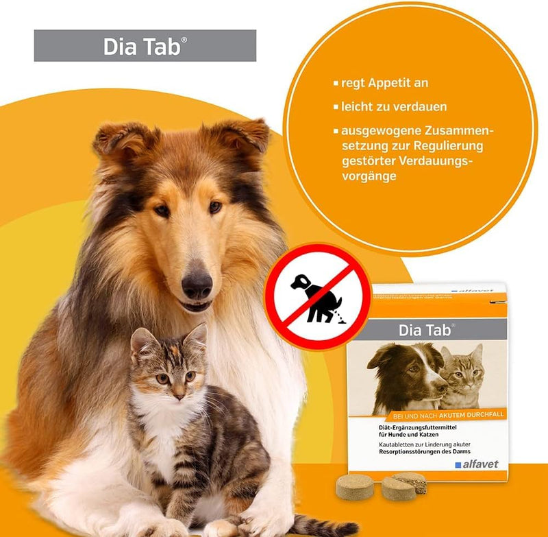 DIA TAB chewable tablets for dogs/cats 6X5.5 g - BeesActive Australia