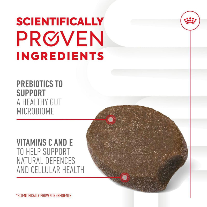 Royal Canin Puppy Supplement for Immunity & Digestion Soft Chews 100g