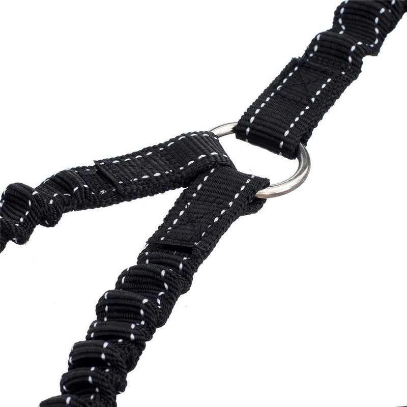 No Tangle Pet Leash Double Dog Leash Coupler Walker Training Leash for Small Medium Dog - Three Dogs Leash Splitter Dog Trainer Leash… - BeesActive Australia