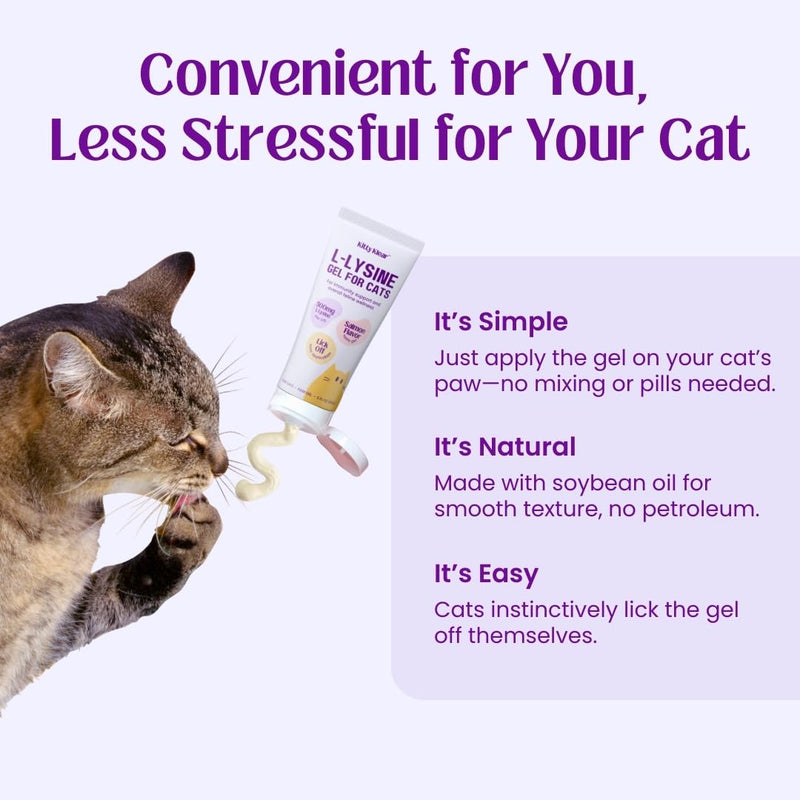 L-Lysine Gel for Cats - 500mg Cat Vitamins Supplement for Immune, Respiratory & Eye Support - Salmon Flavor, Easy Paw Application Gel