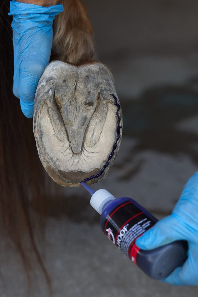 Gel II by SBS EQUINE, Hoof Treatment, Long - Lasting Time Release Formula, No Messy Waste or Run-Off 4 oz - BeesActive Australia