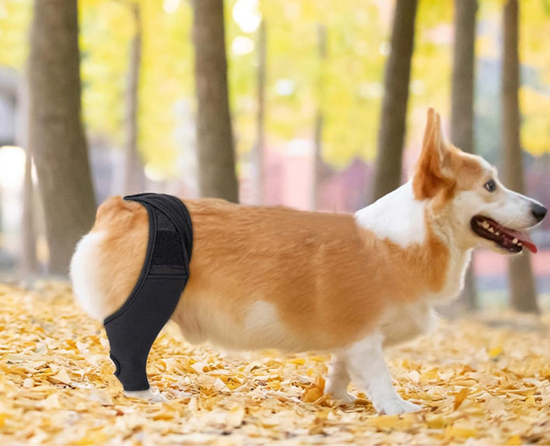 TOEECY Wound protection suits for dogs elbow bandage protector support for cruciate ligament injuries better recovery with dog leg band bandages for front leg hind leg black S - BeesActive Australia