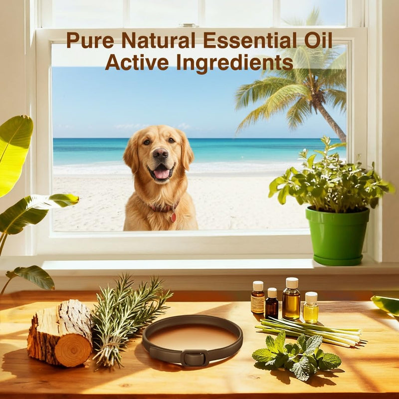 4 Pack Flea Collar for Dogs, Flea and Tick, Dog Flea Collar with Natural Essential Oils, Adjustable Size for All Ages of Dogs, Black