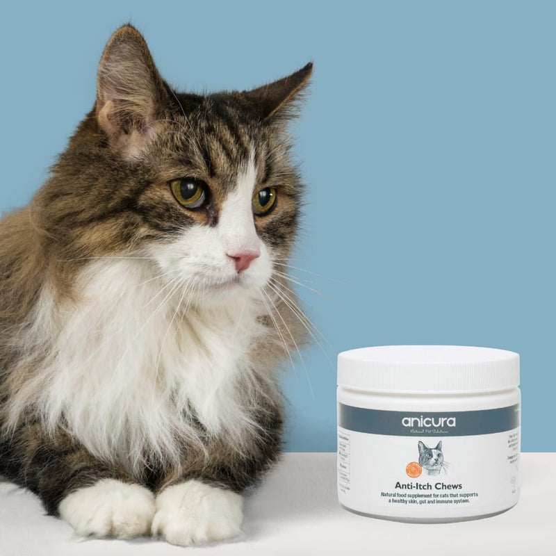 Anicura Anti-Itch Cat Chews 90g - All-Natural Supplement for Itchy, Dry, Allergy-Prone Skin – Supports Digestion, Immunity & Skin Barrier – With Fish Oil, Colostrum, Zinc & Probiotics