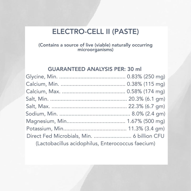 MVP Electro-Cell II Electrolyte Paste (2 dose tube) with probiotics for Horses