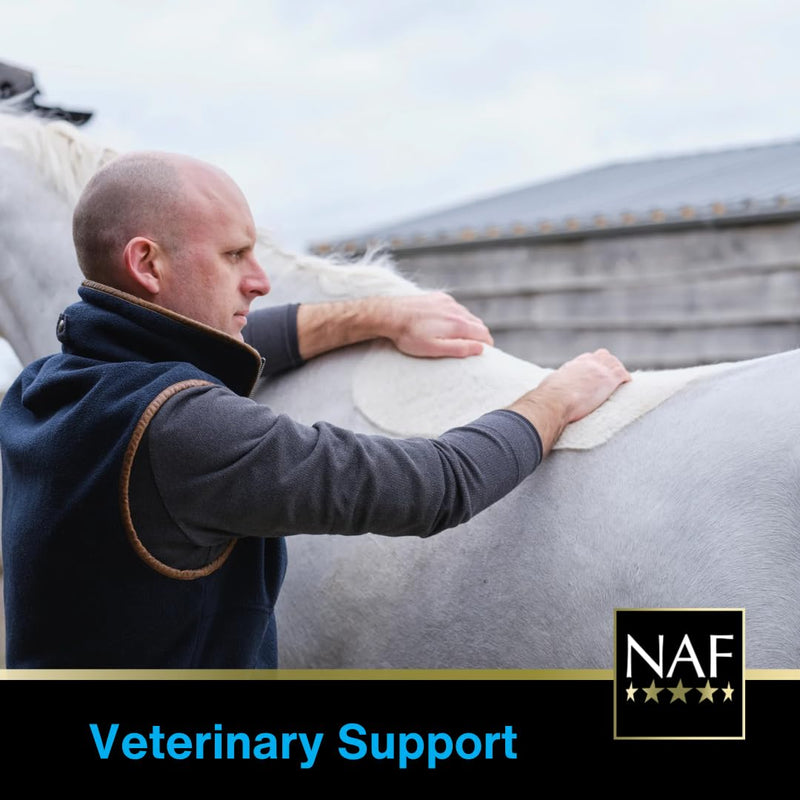 NAF Five Star Metazone Syringe 3 Pack – Targeted Support for the Bodies' Natural Anti-Inflammatory Processes– Ideal for Intense Work, Travel or Competition – Fast-Acting Paste Format