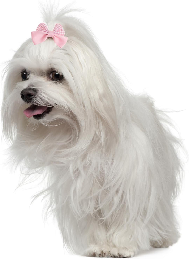 20Pcs Light Pink Small Dog Hair Bows Cute Puppy Dog Bowknot Hair Bow Bulk with Rubber Bands Elastic Lace Rhinestone Pearls Hair Ties Mix Style Handmade Flower Bow Dog Cat (Light Pink, Cute pattern) - BeesActive Australia