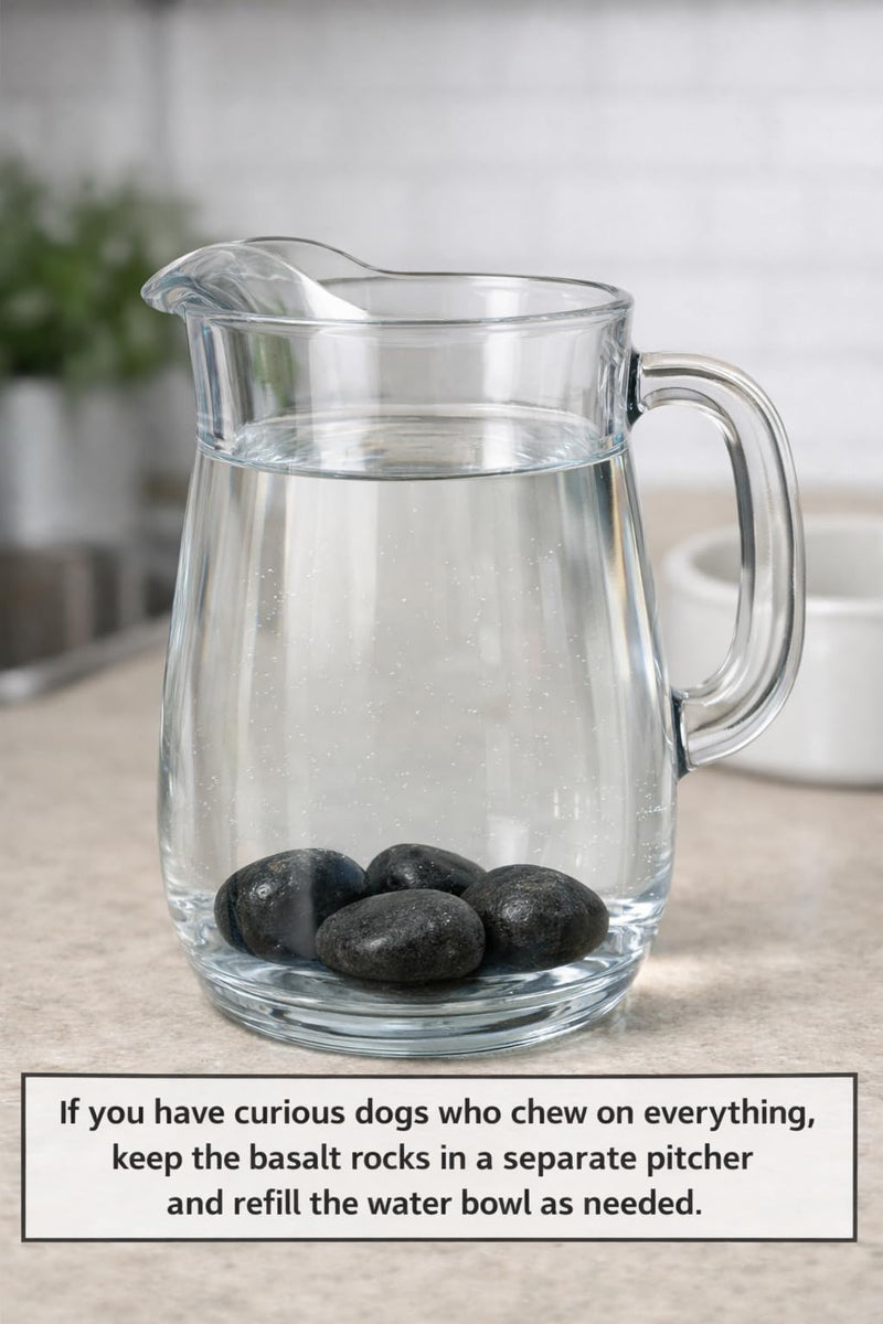Spot's Pawty Rocks – Dog Water Bowl Rocks for Lawn Protection | Natural mineral rocks for dog water bowls that may help reduce yellow grass spots caused by dog urine.