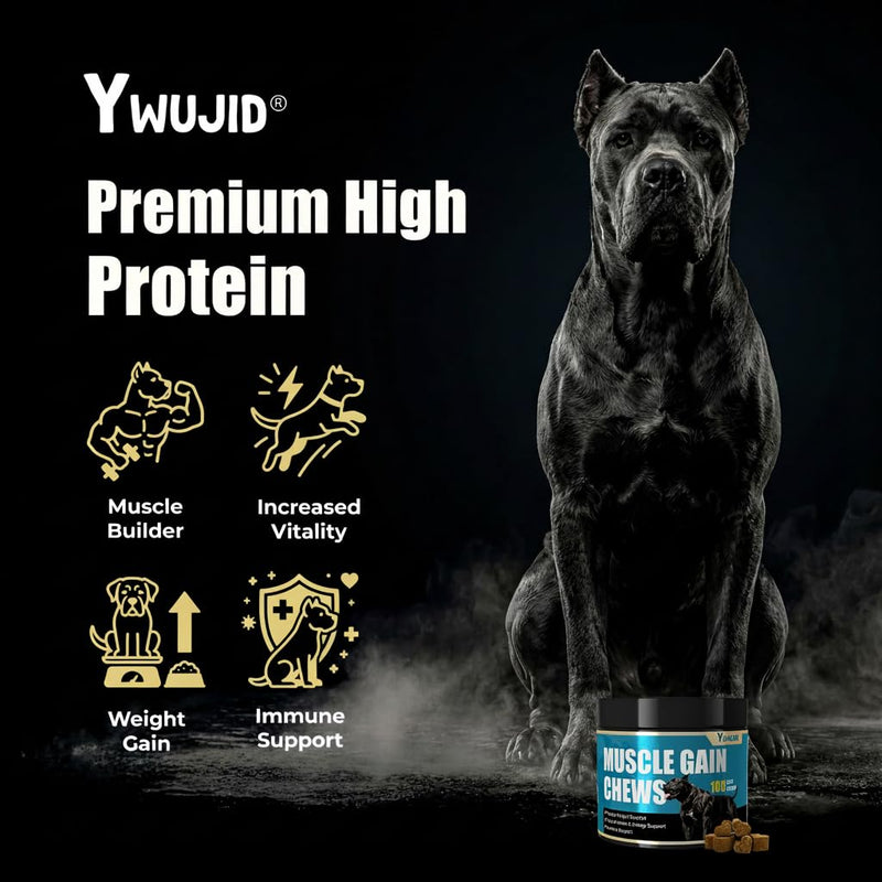 Muscle Gain Chews Dog Weight Gainer Supplements with High Protein & Canine Amino Acids Puppy Vitamins Canine Muscle Builder Formula for Bully & All Breeds Puppies & Adult & Senior Dogs-100