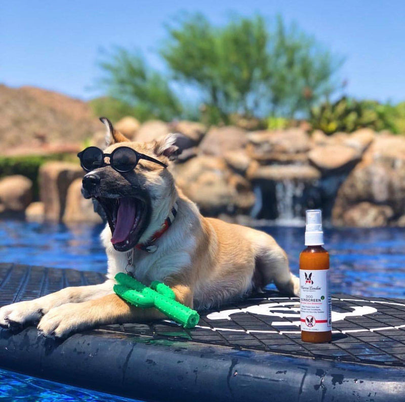 Warren London Dog Sunscreen Spray Protection with Aloe Vera I Dog Skin Soother I Puppy Sunblock I Made in USA- 4oz Two Pack 4oz Bottle (Two Pack) - PawsPlanet Australia