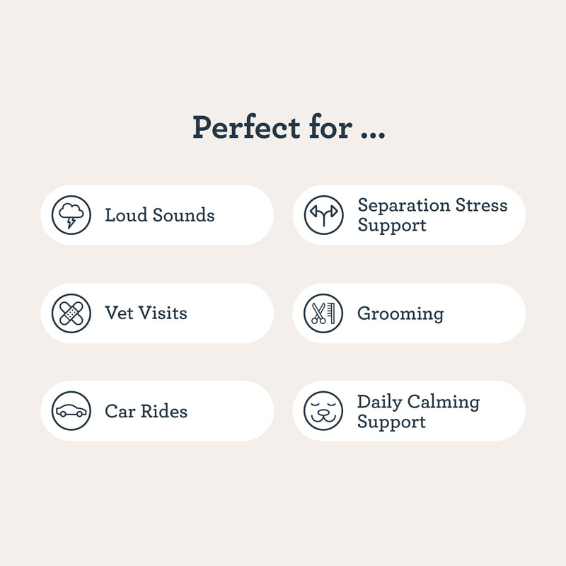 Kradle Calming Chews - Daily Stress Relief Support for Dogs - Bite Size, Chicken Flavor - Human Grade Calming Chews with Soothing Ingredients - for All Dog Breed & Sizes - 75-Count Jar Soft Chews - PawsPlanet Australia