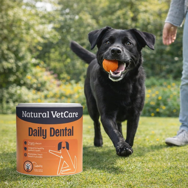 Natural VetCare DAILY DENTAL Powder for Dogs 200g - Gum Health Support, Plaque & Tartar Control, Fresh Breath Dental Powder, Daily Oral Care for Overall Oral Wellbeing