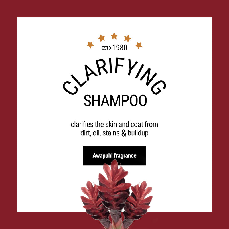 Clarifying Dog Shampoo, 16 oz - Natural Ingredients, Brightening, Removes Stains and Dirt, Brightens All Coat Colors, Professional Grade Grooming Shampoo, Bulk Concentrated - PawsPlanet Australia