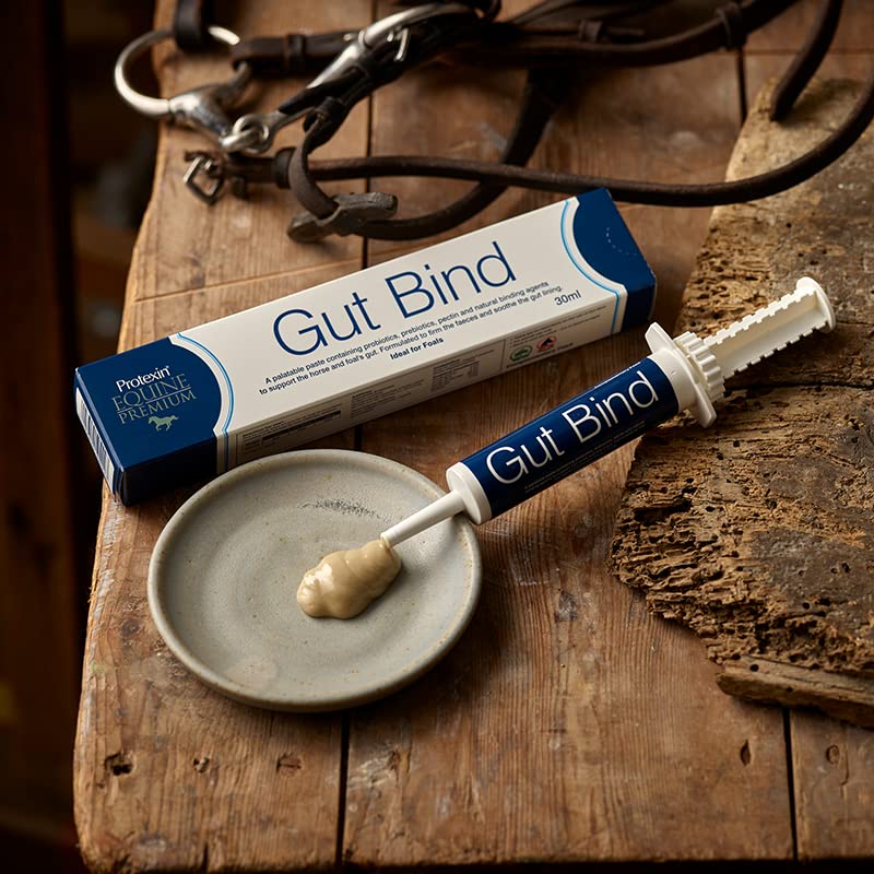 Protexin Equine Gut Bind, 30ml – Advanced Digestive Support for Horses – Promotes Healthy Gut Flora, Fibre Digestion, and Nutrient Absorption Regular